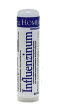 Influenzinum 2024/2025 2-Pack