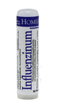Influenzinum+ Multi-Strain 2-Pack